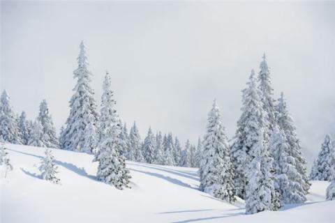 梦见六月下雪是什么预兆,梦见六月下雪是什么意思 梦见六月下雪是什么预兆,梦见六月下雪是什么意思