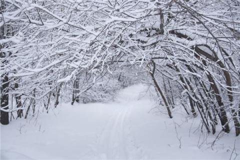 梦见过年下雪是什么预兆,梦见过年下雪是什么意思