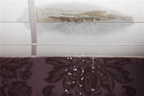 梦见家里漏雨是什么预兆,梦见家里漏雨是什么意思 梦见家里漏雨是什么预兆,梦见家里漏雨是什么意思