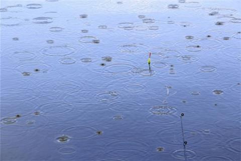 梦见下雨积水是什么预兆,梦见下雨积水是什么意思